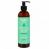 Najel Alepposeife Shampoo 2-in-1 für fettendes Haar in Bio-Qualität