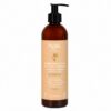Najel Aleppo Shampoo 2-in-1 BIO für trockenes Haar in Pumpflasche